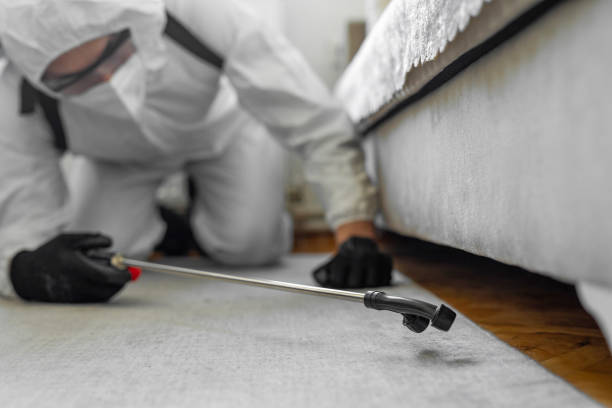 Professional Bed Bug Control technician working in Belleville, KS