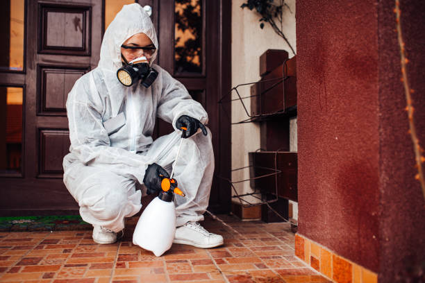 Reliable Bed Bug Control contractor in Belleville, KS by Nex Pest Control
